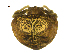  (Mastophora stowei - CBG-A54265-H01)  @11 [ ] CC0 (2025) Unspecified Unspecified