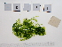  ( - LD00433)  @11 [ ] by-nc (2022) Unspecified Canadian Museum of Nature