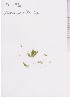  ( - LD00671)  @11 [ ] by-nc  Unspecified Alfred Wegener Institute
