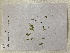  ( - LD01139)  @11 [ ] by-nc  Unspecified Alfred Wegener Institute