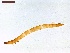  ( - LS-IRBI-CANOP0083)  @11 [ ] Copyright (2021) Lucas Sire Institut de Recherche sur la Biologie de l'Insecte