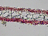  ( - AMS00180)  @11 [ ] CreativeCommons  Attribution Non-Commercial (2022) Unspecified Canadian Museum of Nature