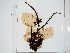  ( - AMS00220)  @11 [ ] by-nc (2022) Unspecified Canadian Museum of Nature