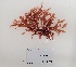  ( - AMS00276)  @11 [ ] by-nc (2022) Unspecified Canadian Museum of Nature