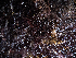  ( - AMS00455)  @11 [ ] CreativeCommons  Attribution Non-Commercial (2023) Unspecified Canadian Museum of Nature