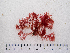  ( - AMS01029)  @11 [ ] by-nc (2022) Unspecified Canadian Museum of Nature
