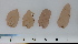  ( - JLC00107)  @11 [ ] by-nc (2022) Unspecified Canadian Museum of Nature