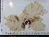  ( - JLC00119)  @11 [ ] by-nc (2022) Unspecified Canadian Museum of Nature