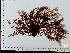  ( - JLC00172)  @11 [ ] by-nc (2022) Unspecified Canadian Museum of Nature