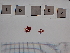  ( - LD00102)  @11 [ ] by-nc  Unspecified Alfred Wegener Institute