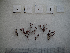  ( - LD00219)  @11 [ ] by-nc (2022) Unspecified Canadian Museum of Nature