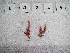  ( - LD00249)  @11 [ ] by-nc (2022) Unspecified Canadian Museum of Nature