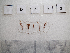  ( - LD00272)  @11 [ ] by-nc  Unspecified Alfred Wegener Institute