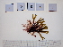 ( - LD00345)  @11 [ ] by-nc (2022) Unspecified Canadian Museum of Nature
