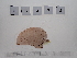 ( - LD00438)  @11 [ ] by-nc (2022) Unspecified Canadian Museum of Nature