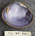  ( - MIB2121)  @11 [ ] © Copyright Government of Canada (2018) Unspecified DFO