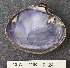  ( - MIB2124)  @11 [ ] © Copyright Government of Canada (2018) Unspecified DFO