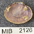  ( - MIB2126)  @11 [ ] © Copyright Government of Canada (2018) Unspecified DFO
