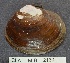  ( - MIB2130)  @11 [ ] © Copyright Government of Canada (2018) Unspecified DFO