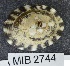  ( - MIB2744)  @11 [ ] © Copyright Government of Canada (2029) Unspecified DFO