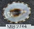  ( - MIB2744)  @11 [ ] © Copyright Government of Canada (2030) Unspecified DFO