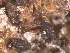  ( - CAP-FUN-001)  @11 [ ] CreativeCommons - Attribution Non-Commercial (2019) Unspecified Norwegian Institute for Nature Research