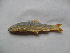  ( - Sd6a-A12)  @12 [ ] No Rights Reserved  Unspecified Unspecified