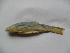  ( - Sd6b-B1)  @12 [ ] No Rights Reserved  Unspecified Unspecified