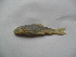  ( - Sd6c-B2)  @13 [ ] No Rights Reserved  Unspecified Unspecified