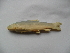  ( - Sd8c-B7)  @12 [ ] No Rights Reserved  Unspecified Unspecified