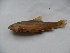  ( - Cob1c-C3)  @12 [ ] No Rights Reserved  Unspecified Unspecified