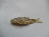  ( - AKC5c-C9)  @13 [ ] No Rights Reserved  Unspecified Unspecified