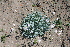  ( - UNKAR3671)  @11 [ ] CreativeCommons - Attribution Non-Commercial Share-Alike (2015) Thomas Horn Karlsruhe Institute of Technology, Botanical Garden