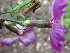  ( - UNKAR6669)  @11 [ ] CreativeCommons - Attribution Non-Commercial Share-Alike (2015) Thomas Horn Karlsruhe Institute of Technology, Botanical Garden