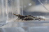  ( - CA1576)  @11 [ ] CreativeCommons - Attribution Share-Alike (2019) Unspecified Museum National d'Histoire Naturelle, Paris