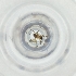  ( - CARR_001_C1)  @11 [ ] by  Genome Research Ltd as Wellcome Sanger Institute Genome Research Limited operating as Wellcome Sanger Institute