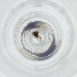  ( - CARR_003_D10)  @11 [ ] by  Genome Research Ltd as Wellcome Sanger Institute Genome Research Limited operating as Wellcome Sanger Institute