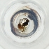  ( - CARR_005_B9)  @11 [ ] by  Genome Research Ltd as Wellcome Sanger Institute Genome Research Limited operating as Wellcome Sanger Institute
