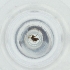  ( - CARR_006_E5)  @11 [ ] by  Genome Research Ltd as Wellcome Sanger Institute Genome Research Limited operating as Wellcome Sanger Institute