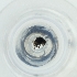  ( - CARR_006_G2)  @11 [ ] by  Genome Research Ltd as Wellcome Sanger Institute Genome Research Limited operating as Wellcome Sanger Institute