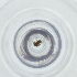  ( - CARR_014_C3)  @11 [ ] by  Genome Research Ltd as Wellcome Sanger Institute Genome Research Limited operating as Wellcome Sanger Institute