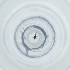  ( - CARR_014_F11)  @11 [ ] by  Genome Research Ltd as Wellcome Sanger Institute Genome Research Limited operating as Wellcome Sanger Institute