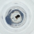  ( - MOZZ00000835A_C7)  @11 [ ] by  Genome Research Ltd as Wellcome Sanger Institute Genome Research Limited operating as Wellcome Sanger Institute