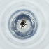  ( - MOZZ00000835A_E7)  @11 [ ] by  Genome Research Ltd as Wellcome Sanger Institute Genome Research Limited operating as Wellcome Sanger Institute