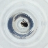  ( - MOZZ00000835A_F7)  @11 [ ] by  Genome Research Ltd as Wellcome Sanger Institute Genome Research Limited operating as Wellcome Sanger Institute