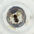  ( - MOZZ00000836A_H11)  @11 [ ] by  Genome Research Ltd as Wellcome Sanger Institute Genome Research Limited operating as Wellcome Sanger Institute