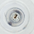  ( - MOZZ00000837A_B4)  @11 [ ] by  Genome Research Ltd as Wellcome Sanger Institute Genome Research Limited operating as Wellcome Sanger Institute