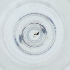  ( - MOZZ00000861A_B10)  @11 [ ] by  Genome Research Ltd as Wellcome Sanger Institute Genome Research Limited operating as Wellcome Sanger Institute
