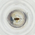  ( - MOZZ00000861A_D6)  @11 [ ] by  Genome Research Ltd as Wellcome Sanger Institute Genome Research Limited operating as Wellcome Sanger Institute