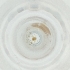 ( - MOZZ00000861A_E5)  @11 [ ] by  Genome Research Ltd as Wellcome Sanger Institute Genome Research Limited operating as Wellcome Sanger Institute